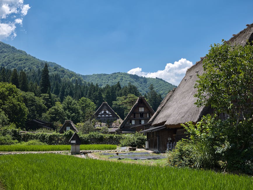 Scenic view of Gassho-Zukuri houses in Shirakawa's lush landscape.