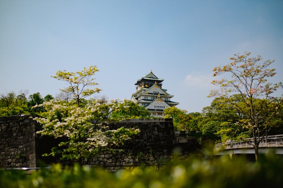 Serene view of Osaka Castle in spring with trees blooming, highlighting its majestic architecture.