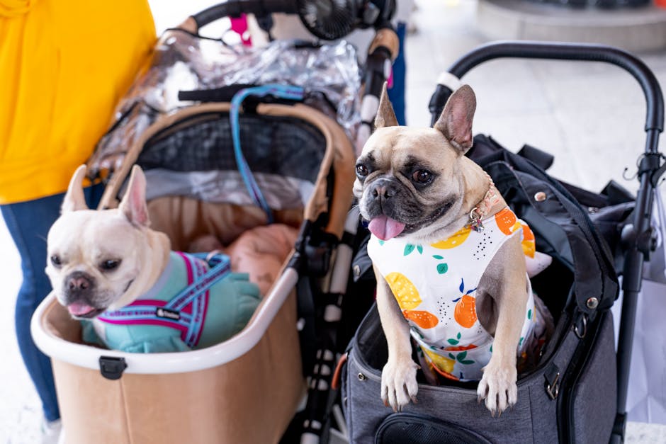 How to Choose a PAWZIDEA Dog Stroller That Handles 100 lbs and Rough Terrain