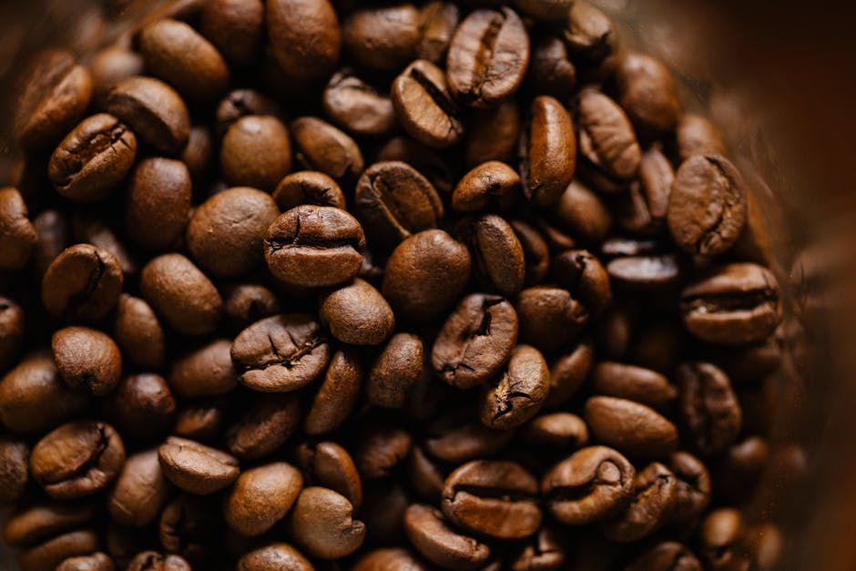 Detailed close-up of freshly roasted coffee beans, showcasing rich textures.